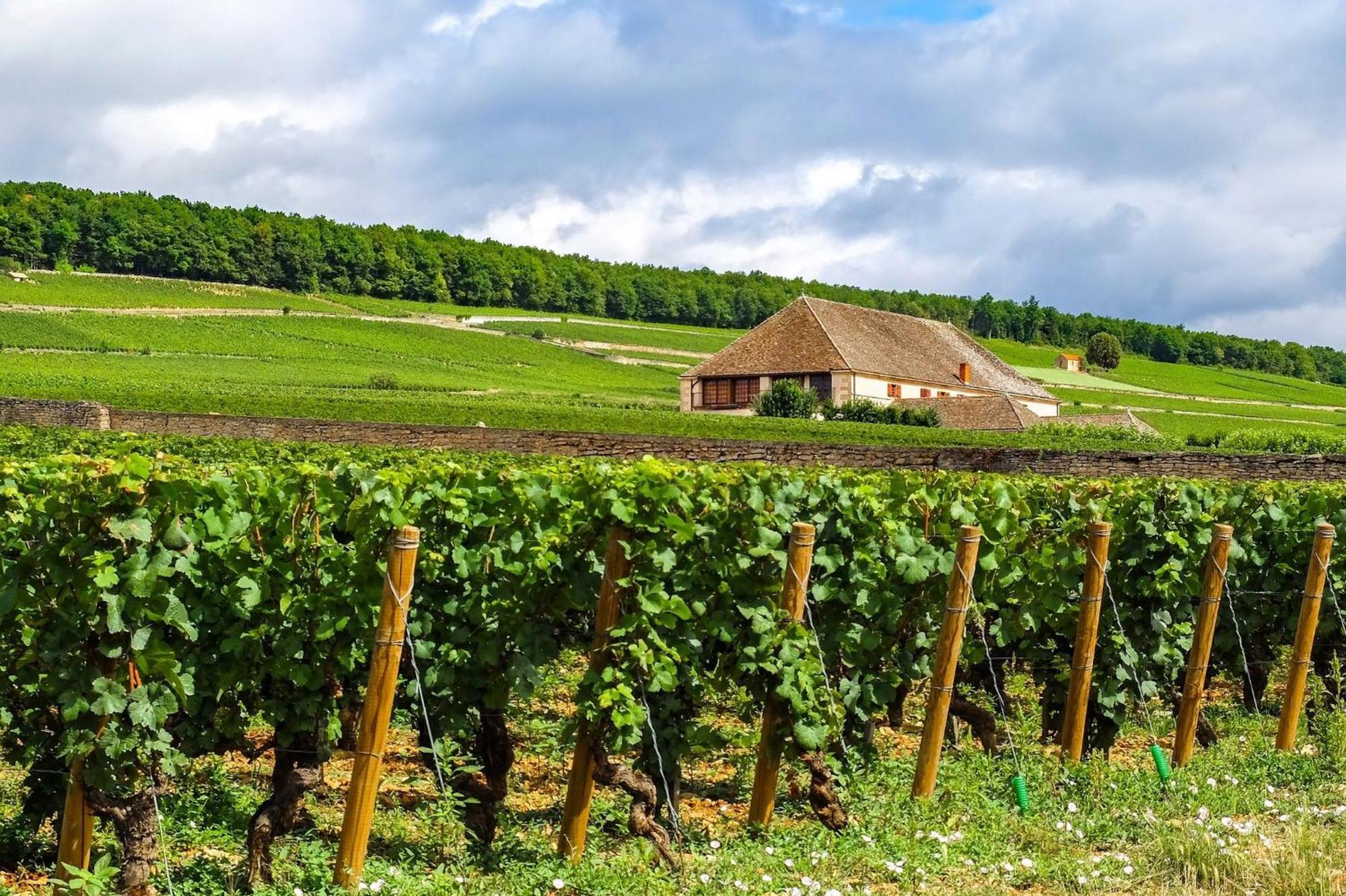Hotel Voco , Cite Des Vins By Ihg 4*